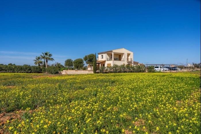 Villa Torre Marina